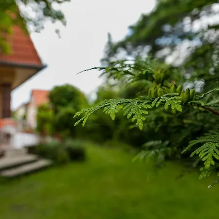 Veress Pataki Haz Fonyód